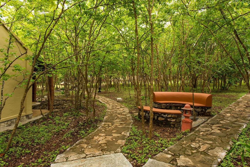 The Windflower Jungle Resort & Spa, Bandipūr Esterno foto